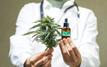 Cannabis légal au Maroc : 109 produits à base de CBD déjà disponibles sur le marché
