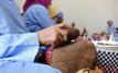 Arganier et coopératives féminines : Agadir met en avant un modèle de développement durable