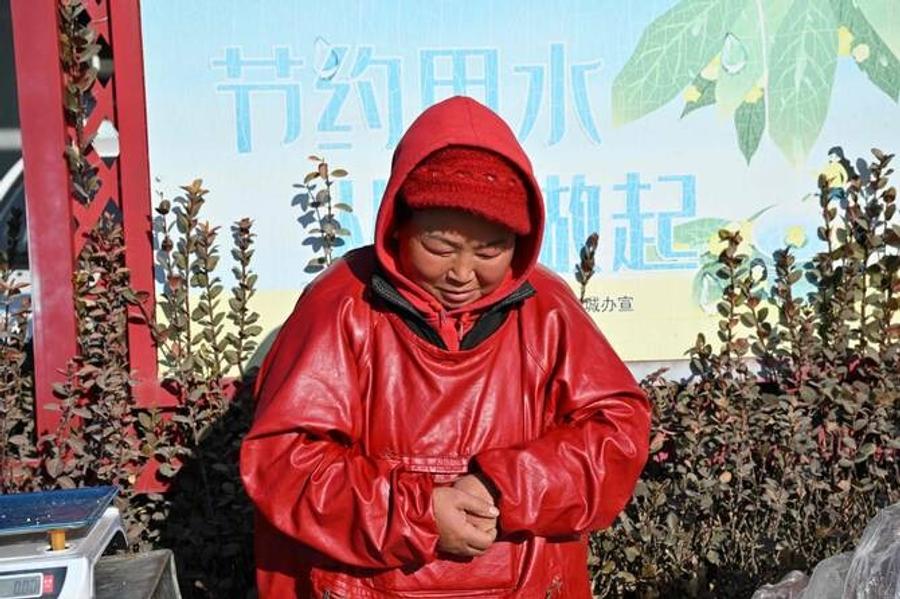 Chinese villagers struggle to heat homes as gas subsidies fade
