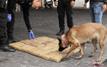 Spain dismantles Balkan cartel network, seizes 2.5 tons Of cocaine