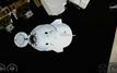 NASA completes first medical evacuation from space station