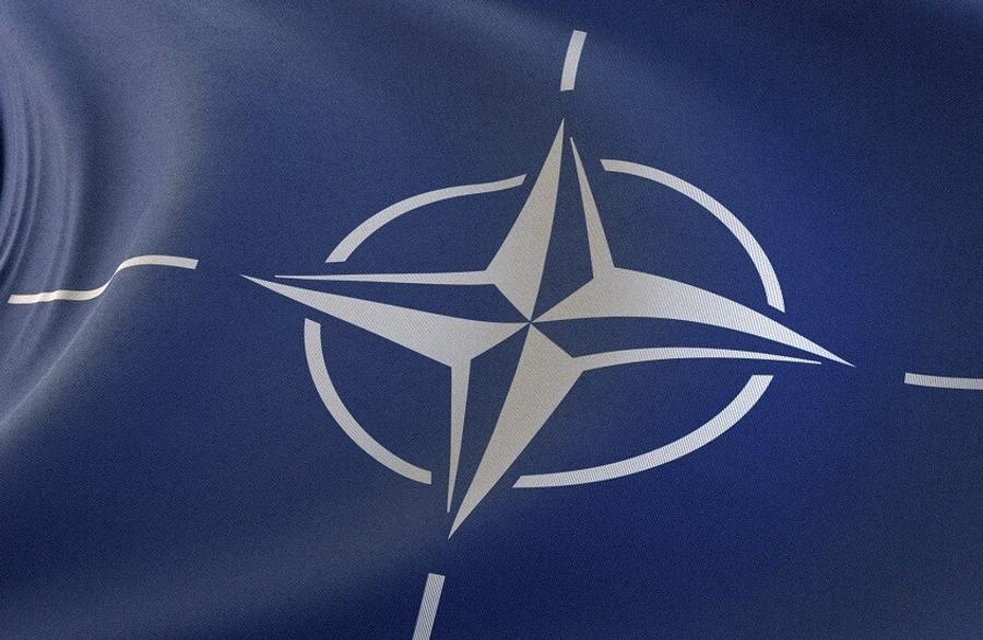 Italy pays €450 million annually for NATO membership, defence minister says