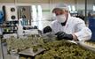 Morocco’s industrial activity records slight decline in November 2025