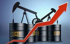 Oil surge tests Morocco’s economy as energy bill jumps 29.1%