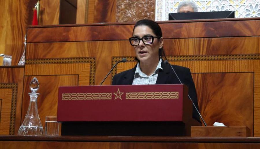 من كلفة المعيشة إلى مدونة الأسرة.. المنصوري تكشف أبرز أوراش حكومتها