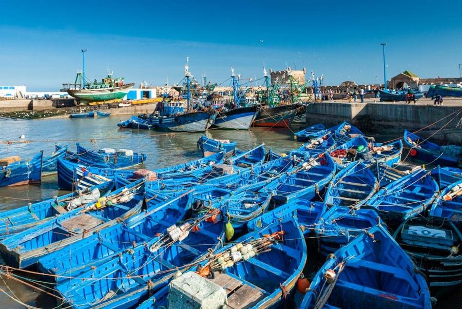 Pêche côtière et artisanale : les débarquements progressent de 23 % à Larache