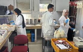 À Oujda, les étapes essentielles qui rendent le sang sûr pour les patients