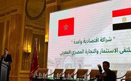 Batteries électriques : le Maroc et l’Égypte étudient un projet d’usine au Maroc