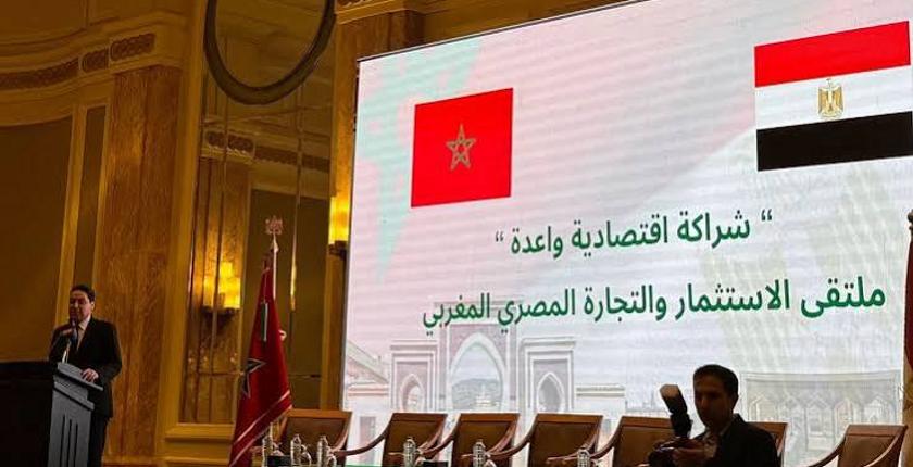 Batteries électriques : le Maroc et l’Égypte étudient un projet d’usine au Maroc