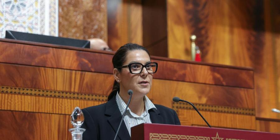摩洛哥重申撒哈拉自治计划，埃尔曼苏里阐述政府优先事项