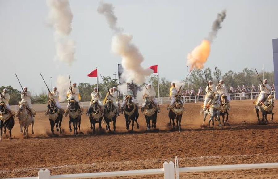 معرض الفرس بالجديدة...سربة المقدم شرف البحراوي تتوج بالجائزة الكبرى للتبوريدة