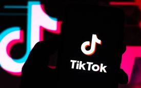 TikTok accusé d’avoir ignoré des alertes internes sur la sécurité des mineurs
