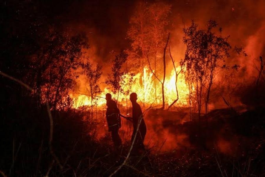 השריפות באינדונזיה מעוררות אזהרה מקסימלית באסיאן בעקבות איום העשן הרעיל החוצה גבולות
