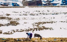 Zones montagneuses : la justice territoriale au cœur des revendications au Maroc