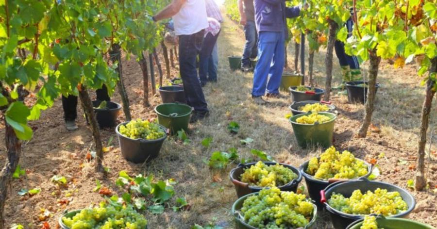 France : quinze saisonniers marocains dénoncent un système d’exploitation devant la justice