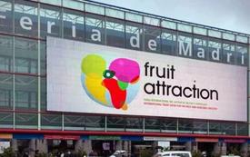 Fruit Attraction : le Maroc met en avant 34 exportateurs à Madrid