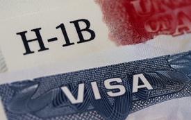 Trump administration suspends Microsoft’s access to an immigration program linked to H-1B workers