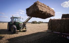 Baltic states urge EU to ban transit of Russian grain through Baltic waters