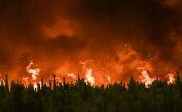 England records unprecedented number of wildfires in July 2026