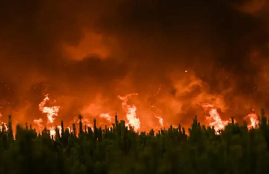 England records unprecedented number of wildfires in July 2026