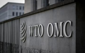 WTO ने वैश्विक माल व्यापार की भविष्यवाणियों को बढ़ाया, AI निवेश से विकास को गति मिली