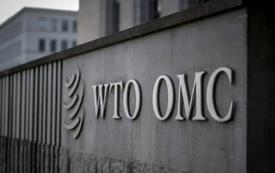 WTO raises global merchandise trade forecasts as AI investment fuels growth