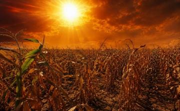 Climat mondial : El Niño pourrait propulser 2026 au rang d’année la plus chaude jamais enregistrée