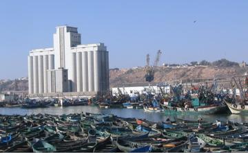 Port de Safi : les débarquements de pêche reculent de 15 % en volume et de 32 % en valeur à fin septembre 2026