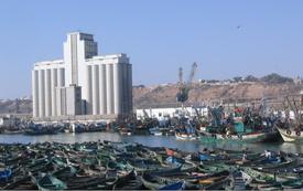 Port de Safi : les débarquements de pêche reculent de 15 % en volume et de 32 % en valeur à fin septembre 2026