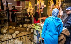 حماية المستهلك تطالب بتشديد الرقابة على محلات ترييش الدجاج