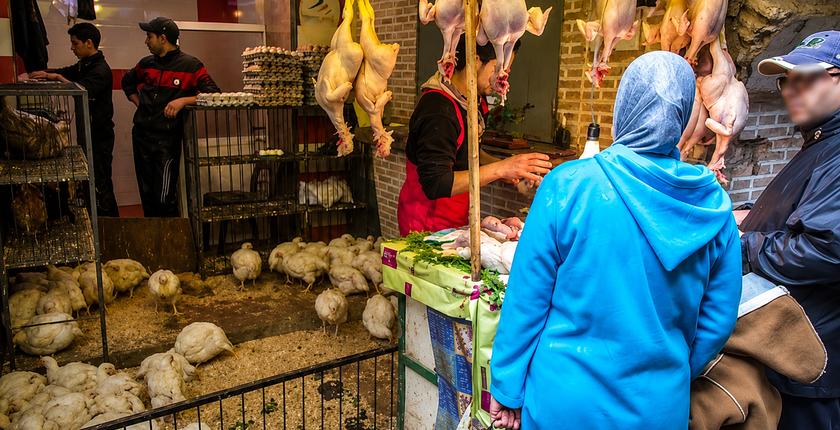 حماية المستهلك تطالب بتشديد الرقابة على محلات ترييش الدجاج