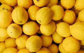 Moroccan lemons fill Spain’s supply gap as domestic harvest falls short