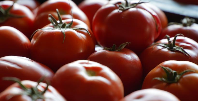 Tomato Prices Surge in Casablanca Markets, Raising Concerns Over Consumers’ Purchasing Power