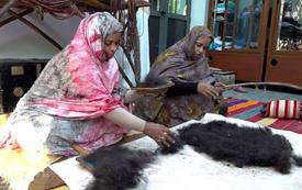 Copenhague : la khayma sahraouie, vitrine du patrimoine marocain au Salon de l’artisanat