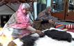 Copenhague : la khayma sahraouie, vitrine du patrimoine marocain au Salon de l’artisanat