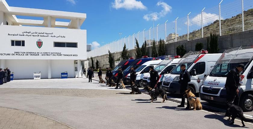 Tanger Med : plus de 3,5 tonnes de résine de cannabis saisies dans un camion transportant des produits agricoles