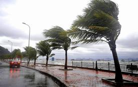 الأرصاد الجوية تحذر من تقلبات الطقس بعدد من مناطق المغرب