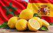Les exportations marocaines de citrons vers l’Espagne atteignent un niveau record