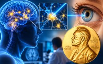 L’optogénétique, une avancée prometteuse contre la cécité et les maladies neurologiques