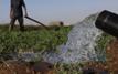 Le Maroc obtient une subvention américaine de 33,1 millions de dollars pour l’agriculture