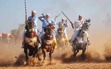 Les Forces armées royales au Salon du cheval d’El Jadida 2026 : un hommage à l’histoire équestre du Maroc