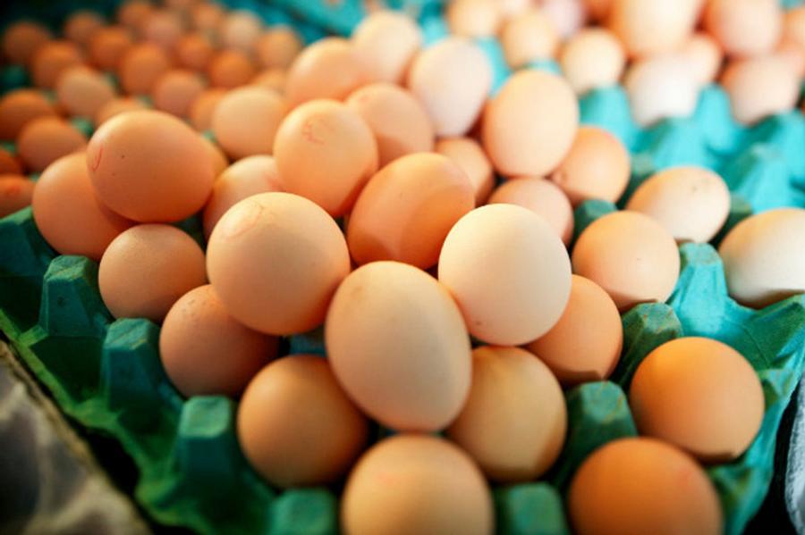 Egg Consumption in Morocco: How the Domestic Industry Meets National Demand
