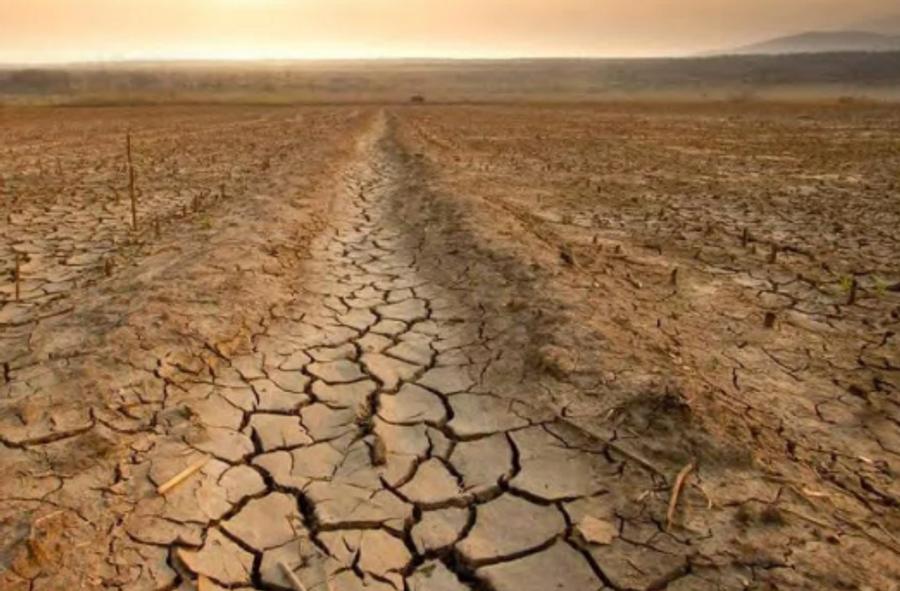 WMO warnt vor möglicherweise rekordverdächtigem El Niño-Ereignis bis Ende 2026