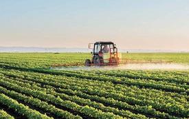 Maroc–États-Unis : l’INRA et la NASDA renforcent leur coopération en recherche agricole