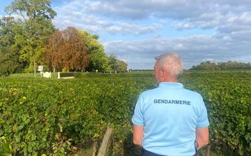 Cold case en Gironde : un suspect de 77 ans relâché après sa garde à vue dans une affaire de meurtre datant de 2006