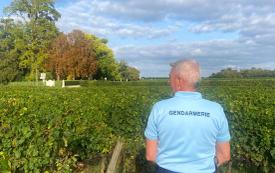 Cold case en Gironde : un suspect de 77 ans relâché après sa garde à vue dans une affaire de meurtre datant de 2006