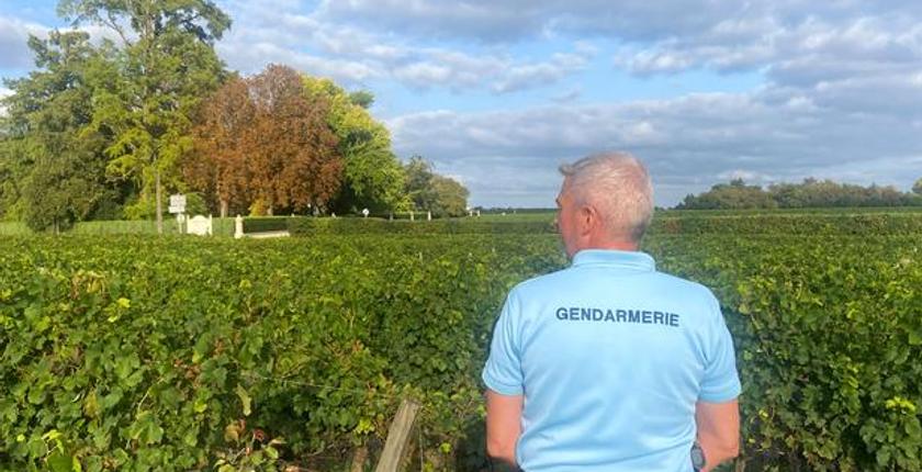 Cold case en Gironde : un suspect de 77 ans relâché après sa garde à vue dans une affaire de meurtre datant de 2006