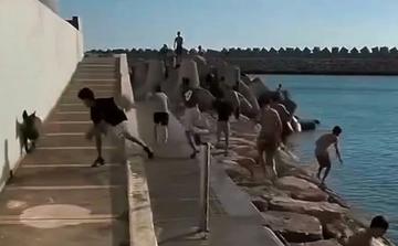 Agadir : une vidéo montrant des enfants menacés par des chiens suscite l’indignation