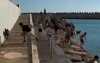 Agadir : une vidéo montrant des enfants menacés par des chiens suscite l’indignation