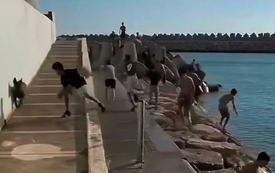 Agadir : une vidéo montrant des enfants menacés par des chiens suscite l’indignation